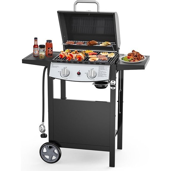 electactic 2 burner propane bbq