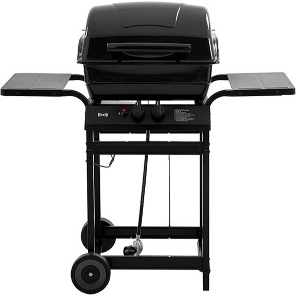 feasto 2 burner propane grill
