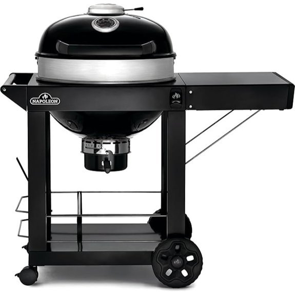 napoleon pro22 charcoal grill