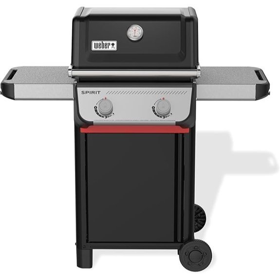 weber spirit e 210 grill
